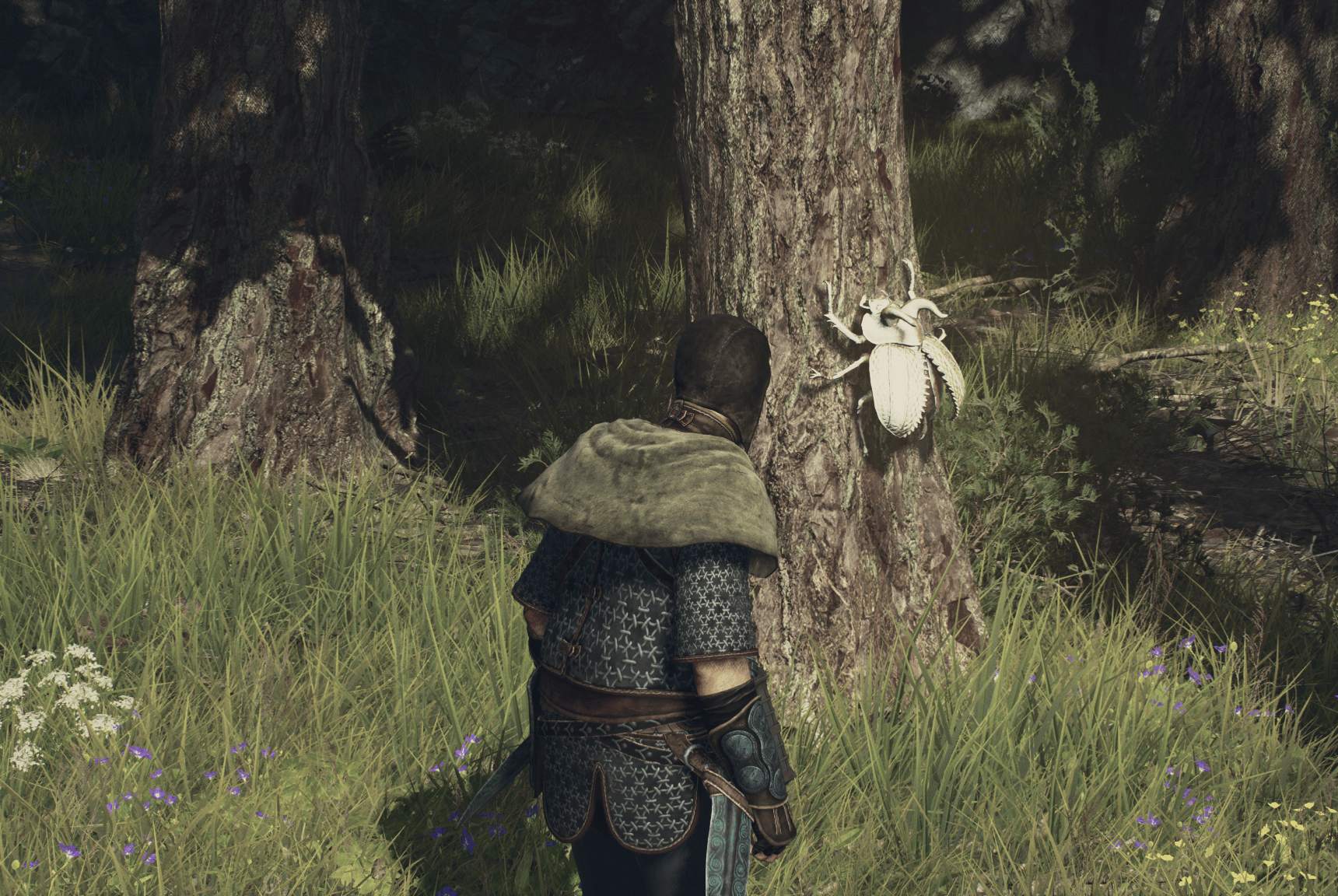 How to increase your inventory size in Dragon’s Dogma 2